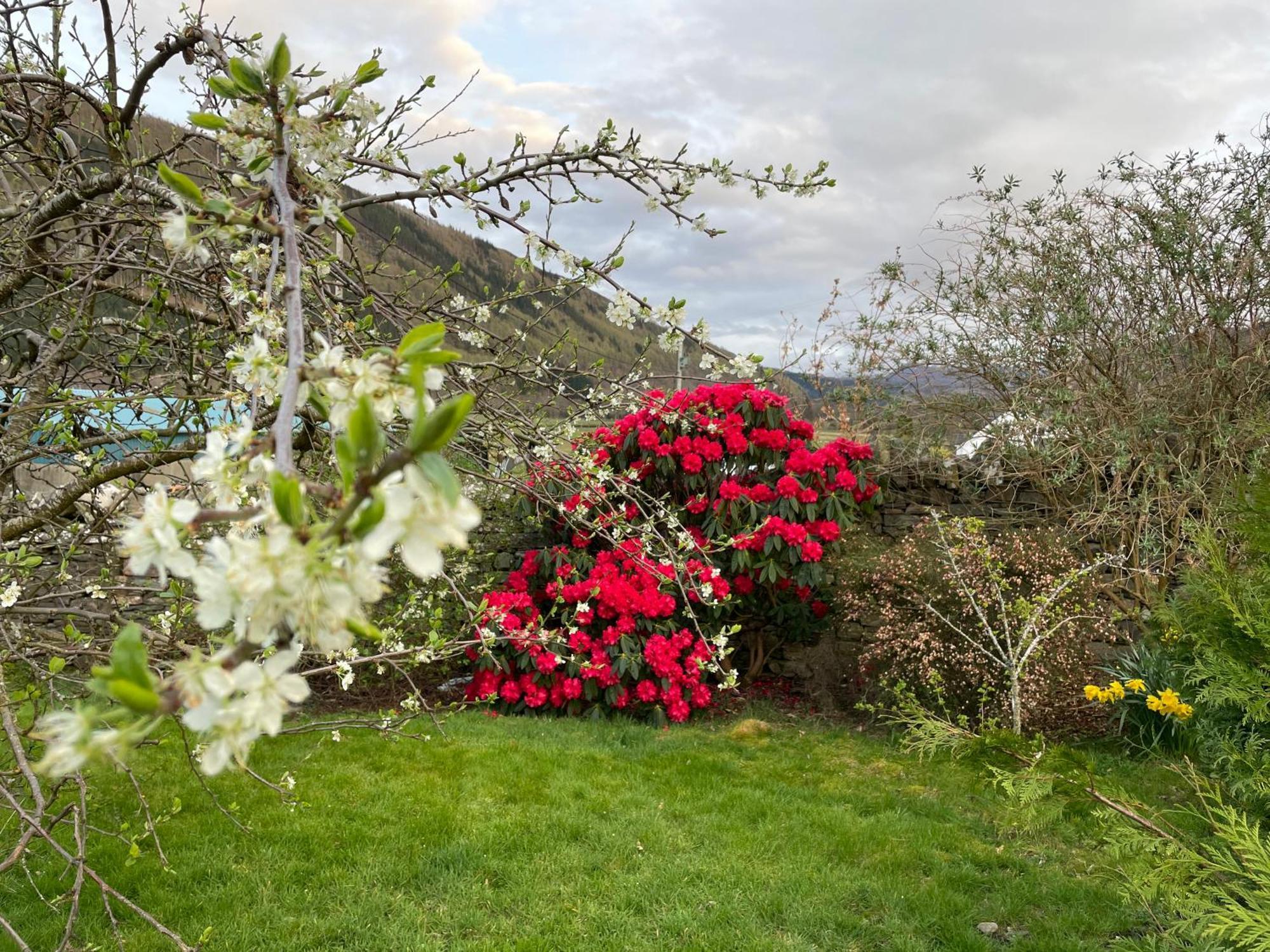 Clachan Garden B&B Garve Exterior photo